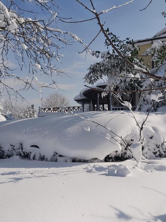 Bizim Ev Sapanca Exterior foto