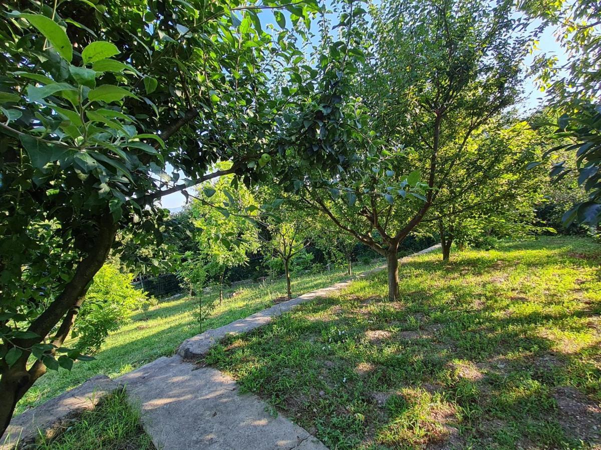 Bizim Ev Sapanca Exterior foto